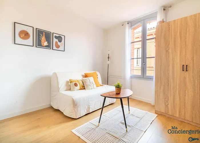 Apartament Charles - Hypercentre -st Sernin - Metro Tuluza