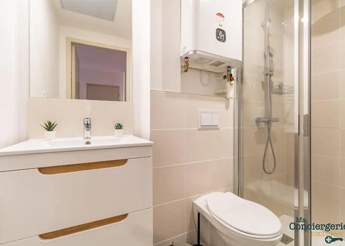 Charles - Hypercentre -st Sernin - Metro * تولوز