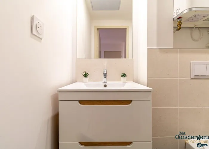 Appartamento Charles - Hypercentre -st Sernin - Métro Tolosa